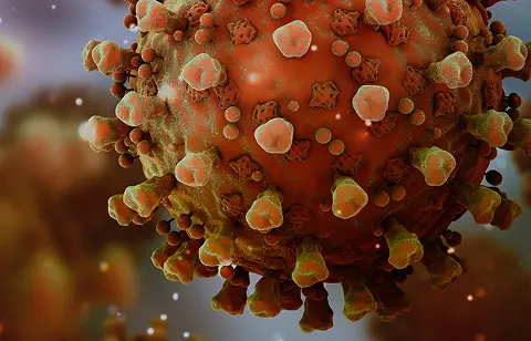 Coronavirus close-up illustration