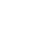 Shield with checkmark icon