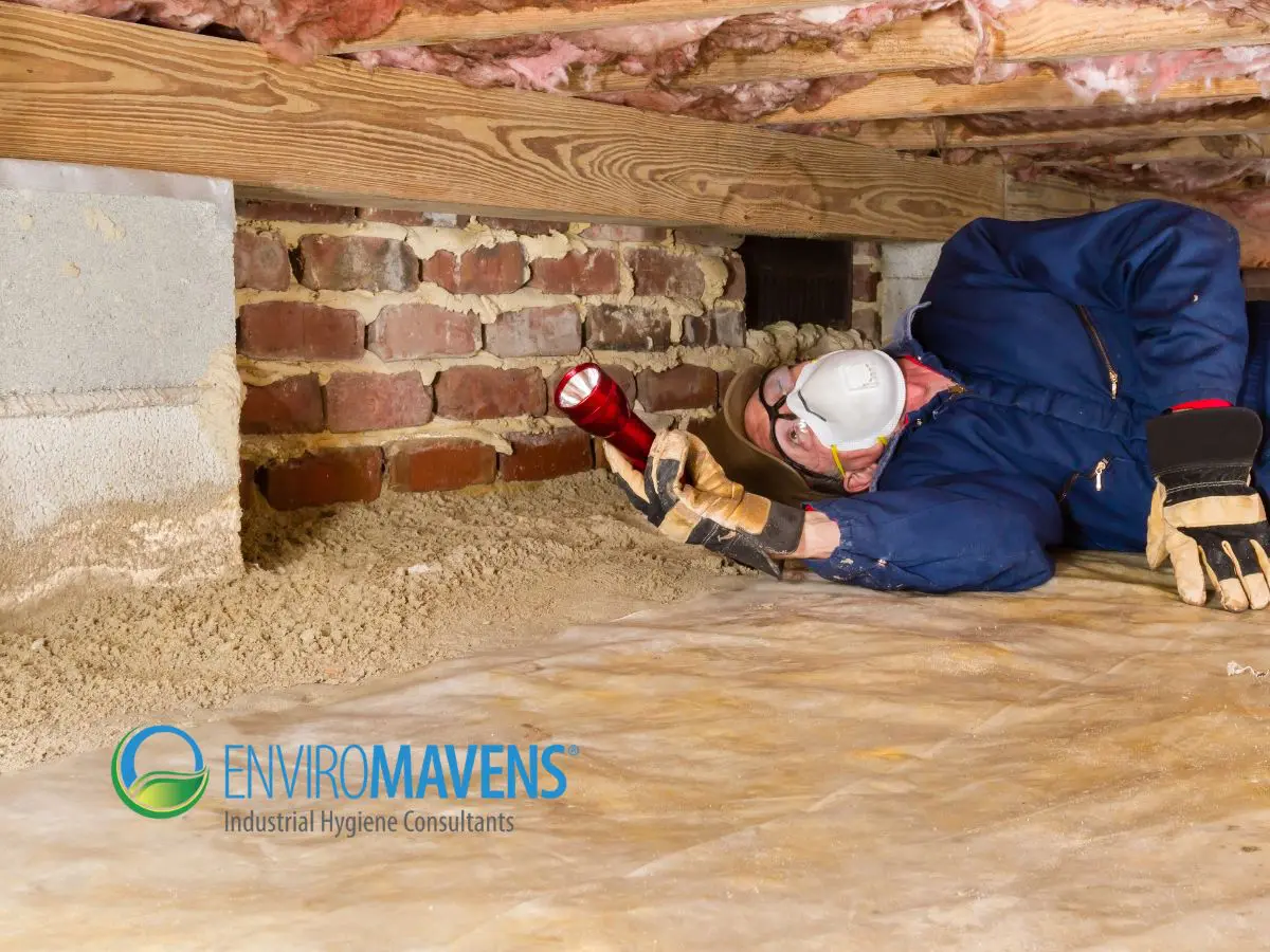 Professional inspecting under house foundation