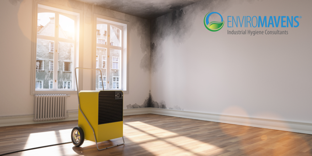Yellow dehumidifier near moldy walls
