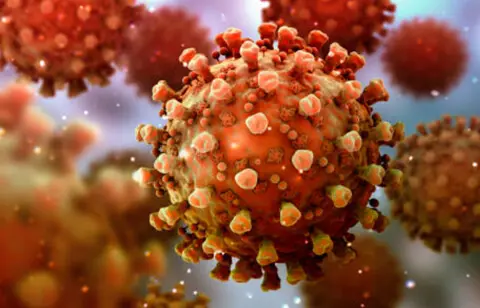 3D virus model close-up