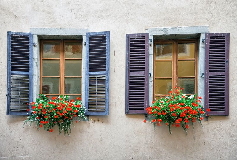 Two windows adorned with vibrant flowers