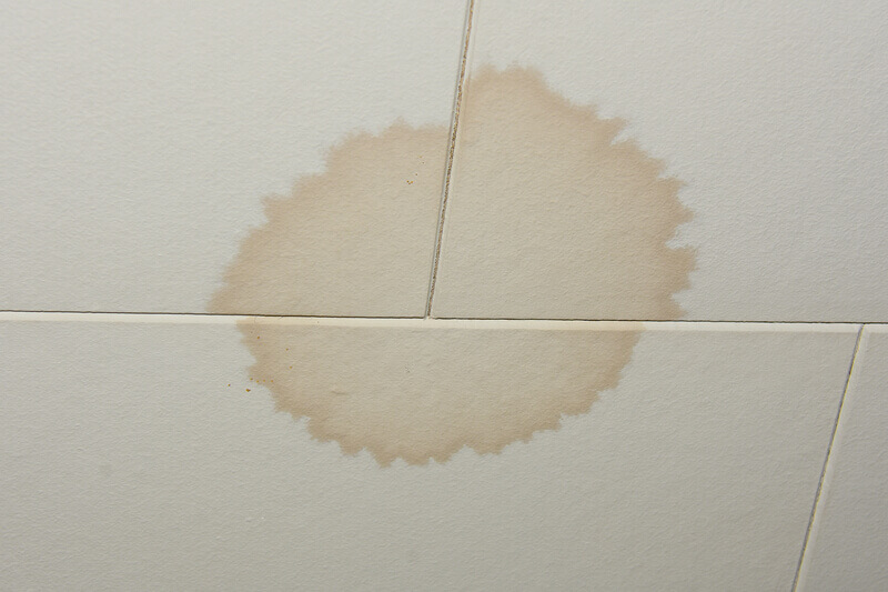 Mold stain on a ceiling