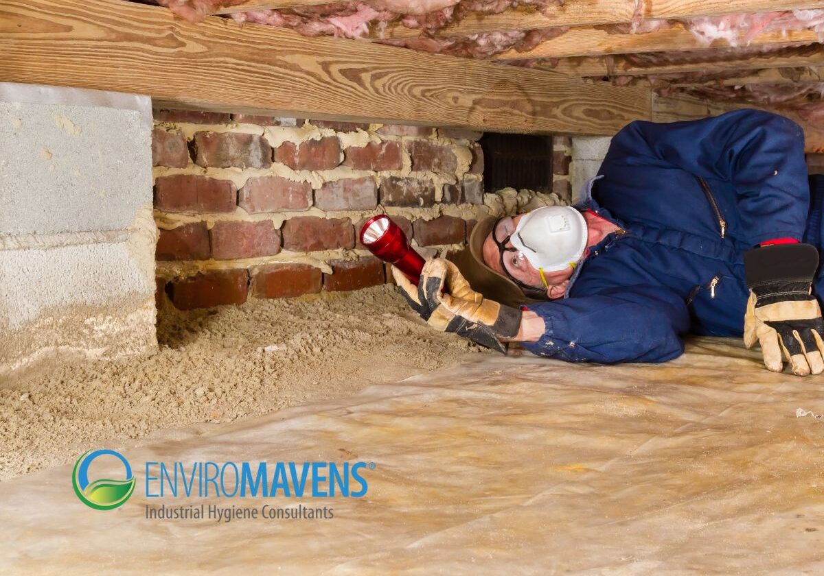 Professional inspecting under house foundation