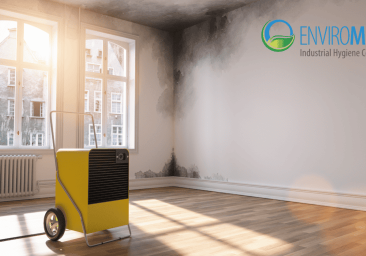 Yellow dehumidifier near moldy walls