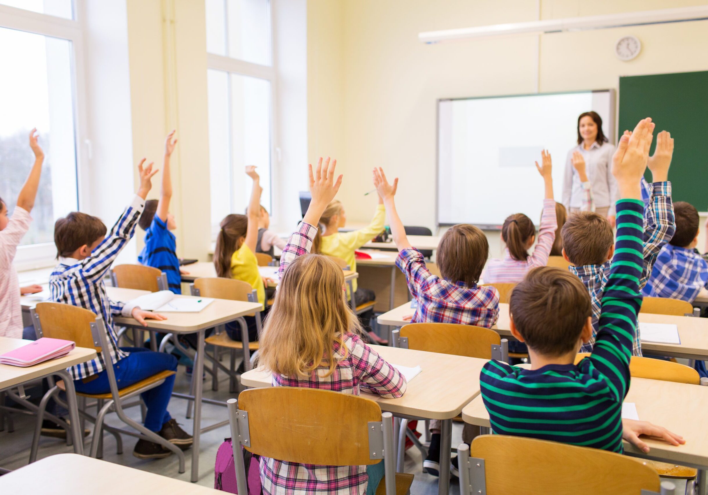 Students raising hands in classroom